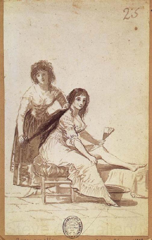 Francisco Goya Maid combing a  Young Woman-s Hair France oil painting art